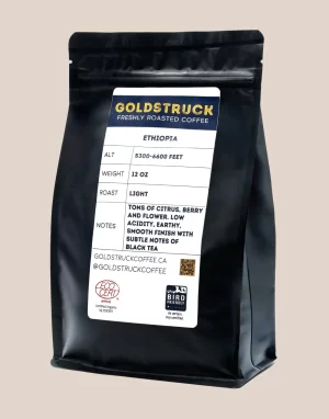 goldstruck ethiopia coffee beans
