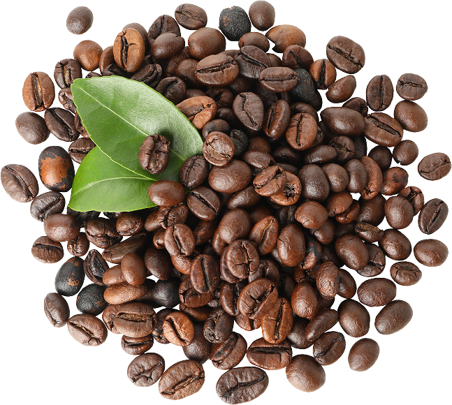 goldstruck fresh coffee seeds