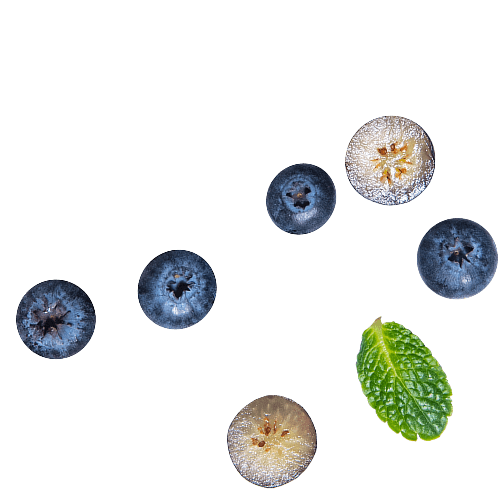 goldstruck pattern of fresh blueberries and mint leaves