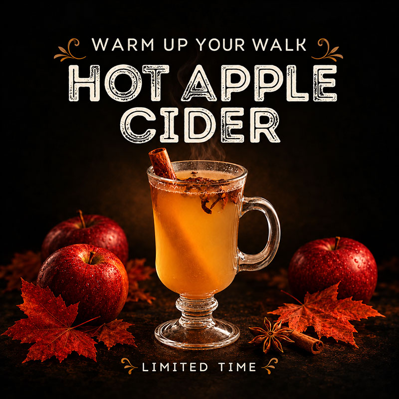 Circle safe hot apple cider poster